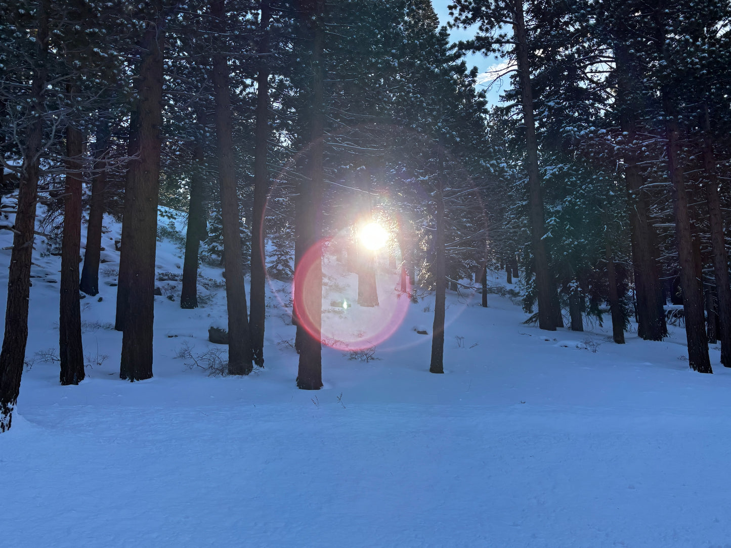 Vertical Only Print 2