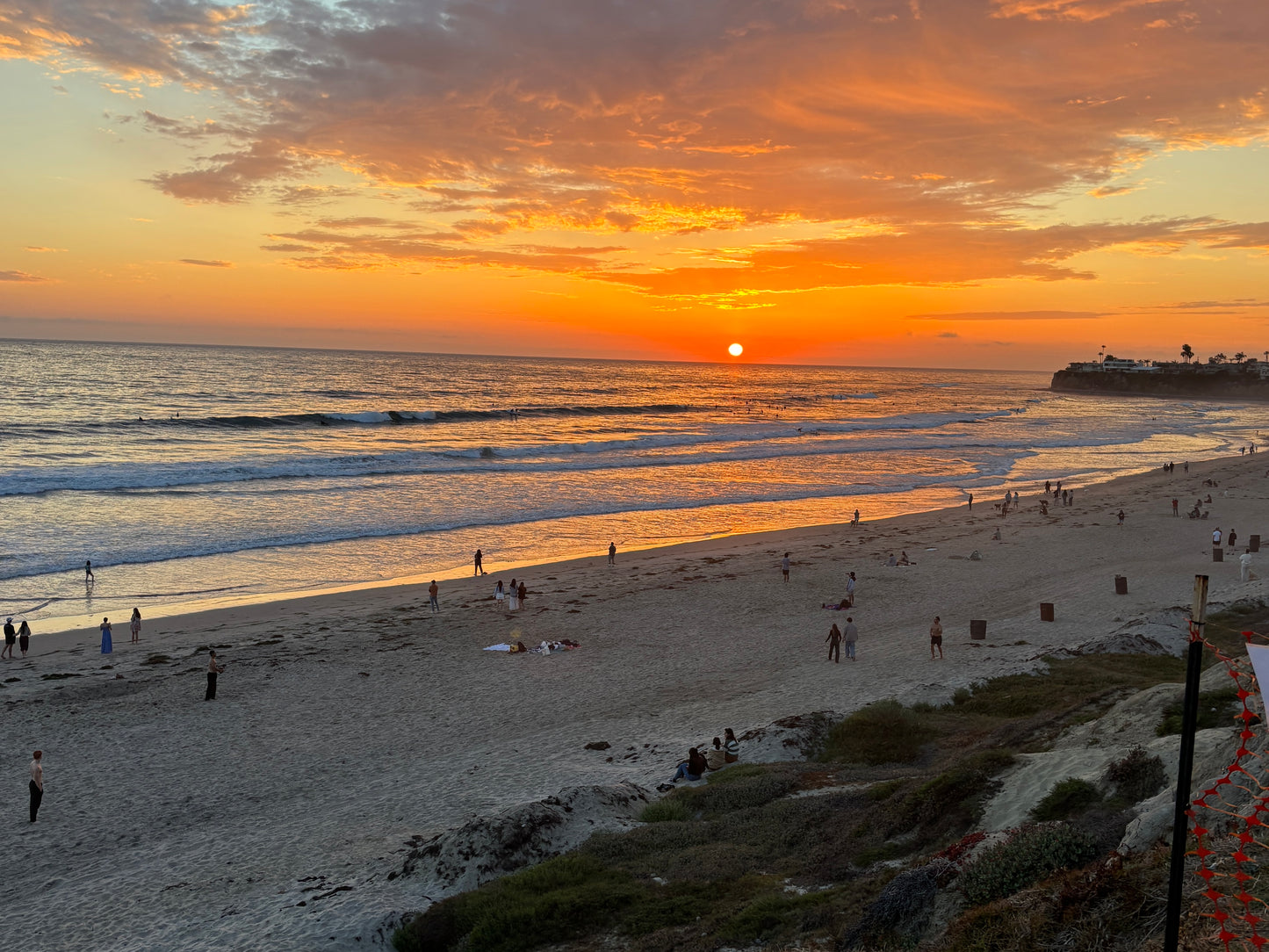 Vertical Primary Print