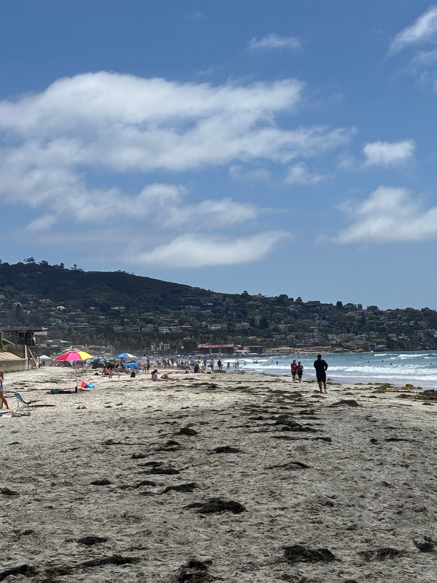 Vertical Primary Print