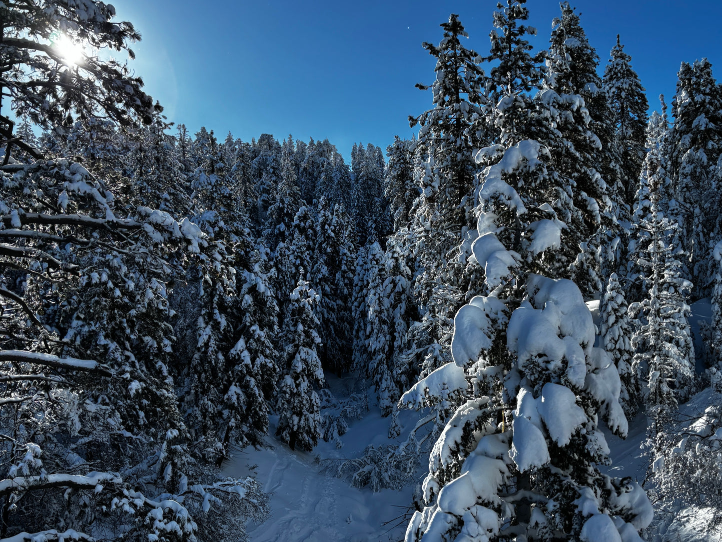 Horizontal Only Print