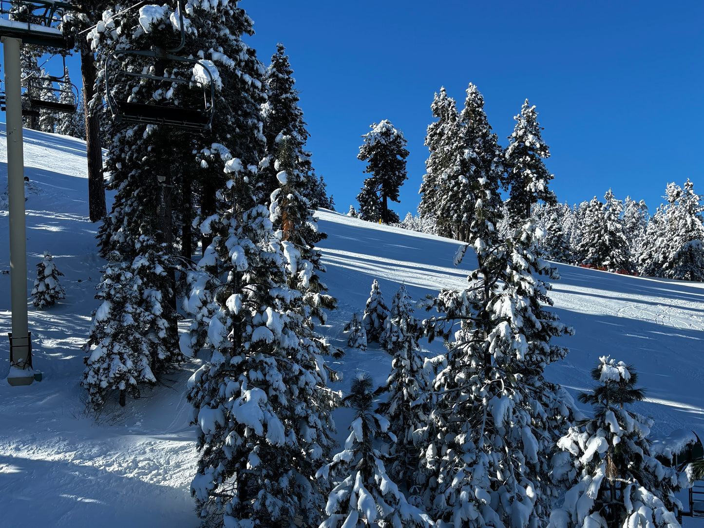 Horizontal Only Print