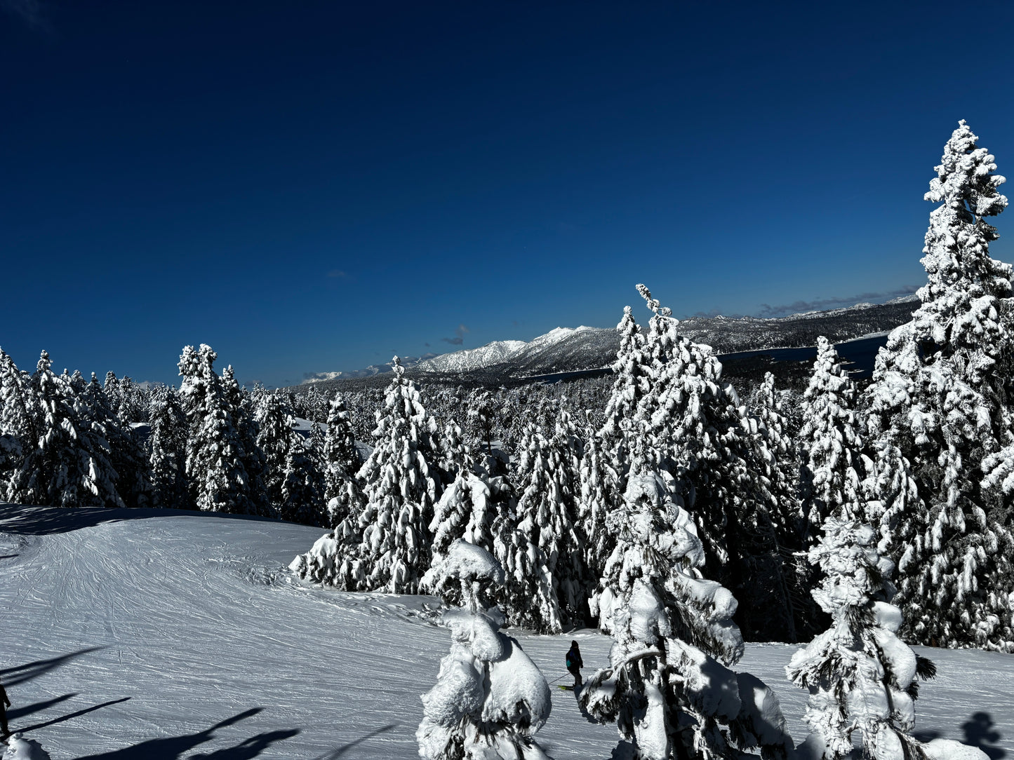 Horizontal Only Print