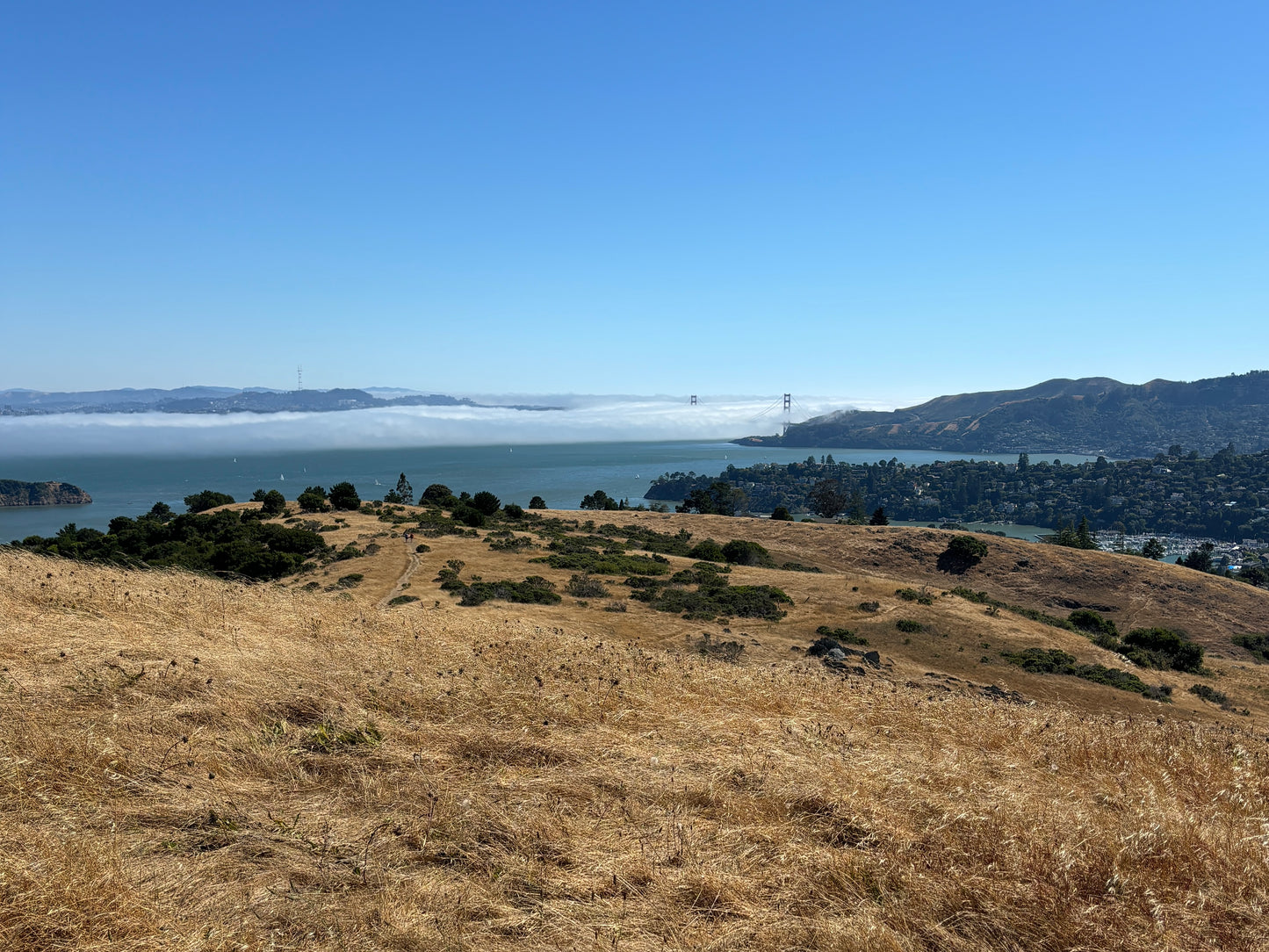 Horizontal Only Print