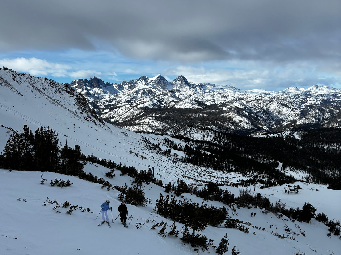 Vertical Only Print 2