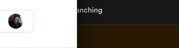 California Sea Lions (Horizontal primary)