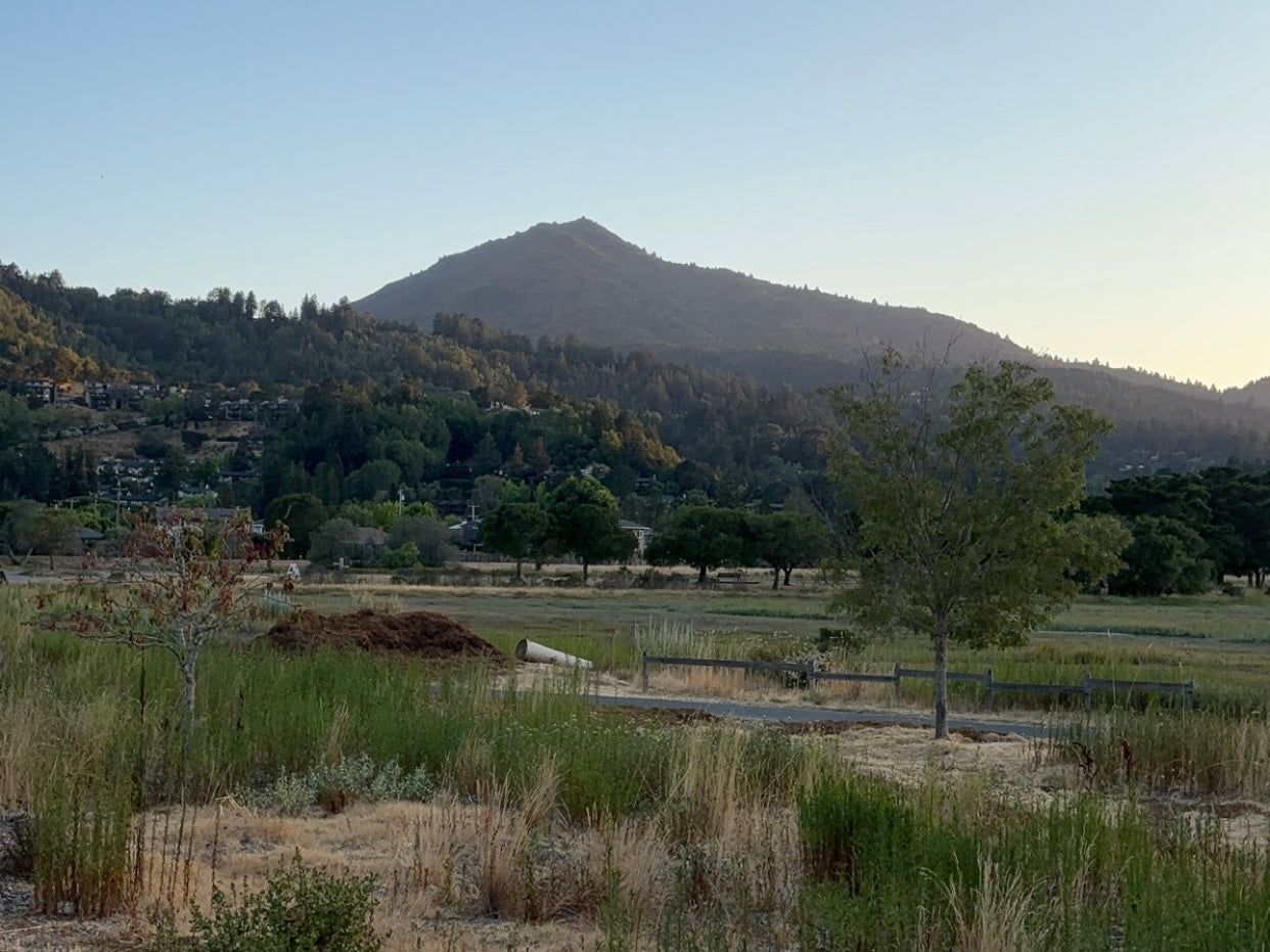 Horizontal Only Print