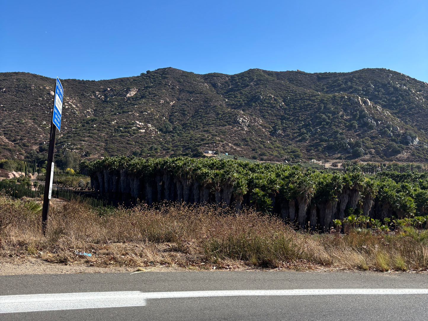 Vertical Primary Print