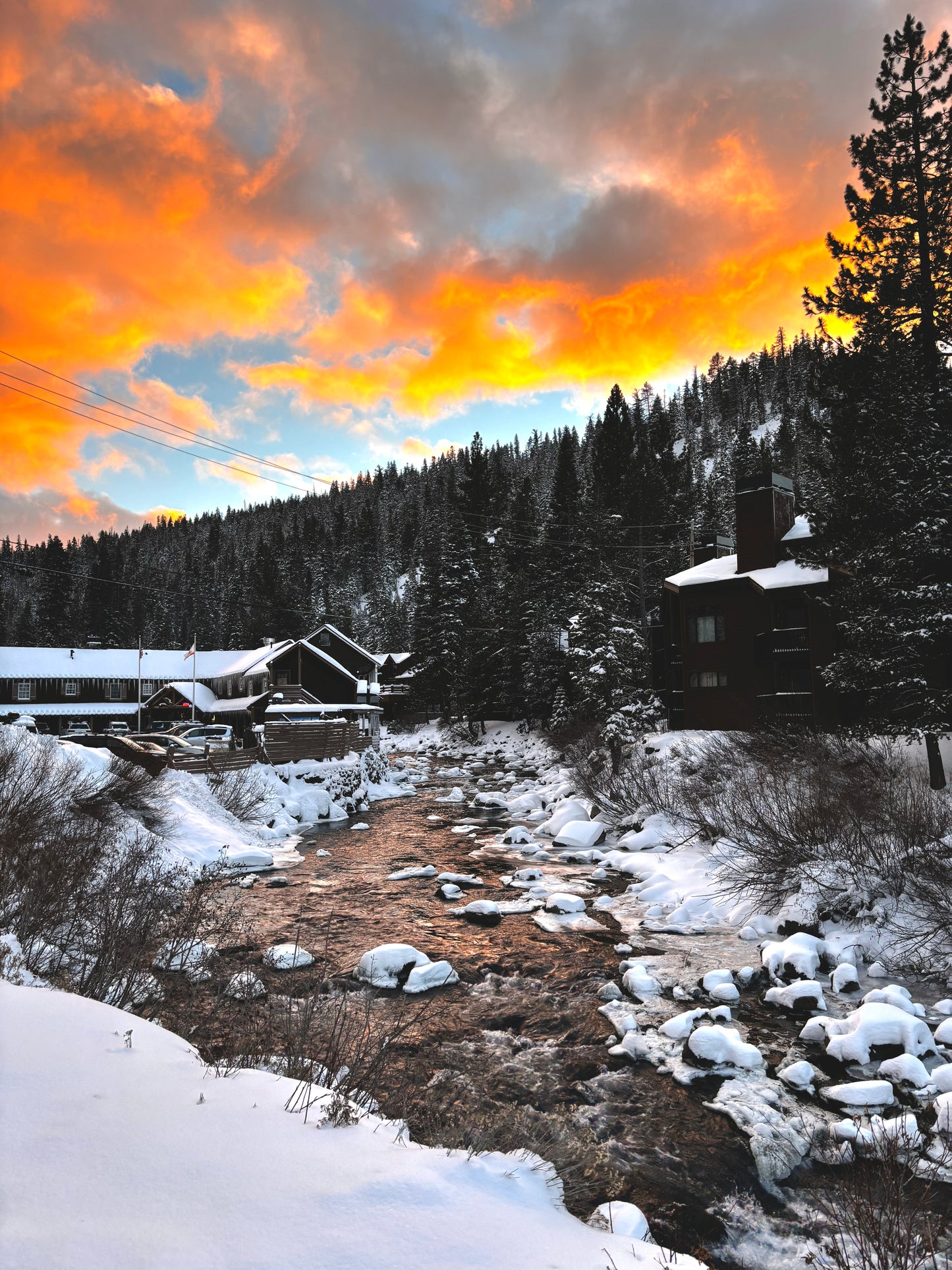 Vertical Only Print 2