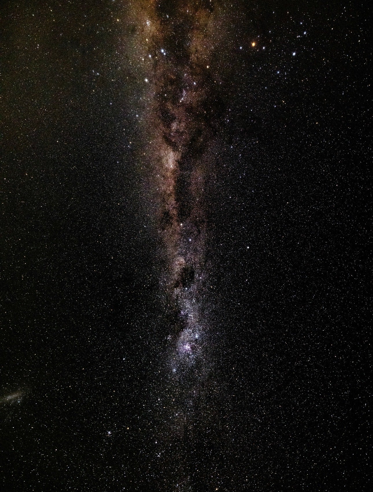 Vertical Only Print 2