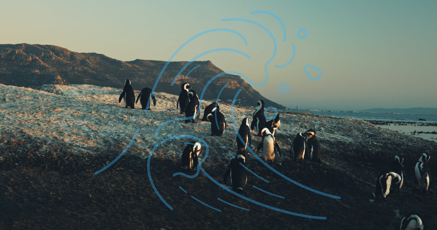 three_column_horizontal