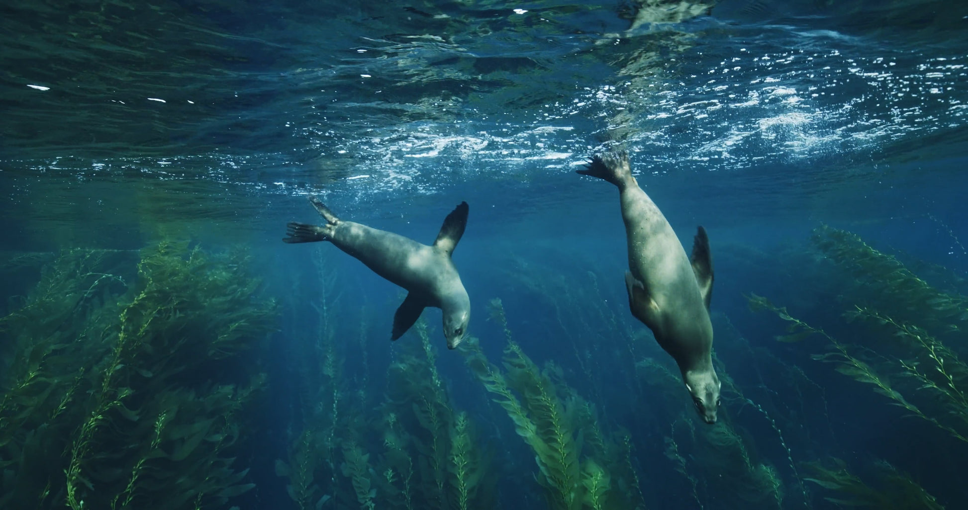 two_column_horizontal