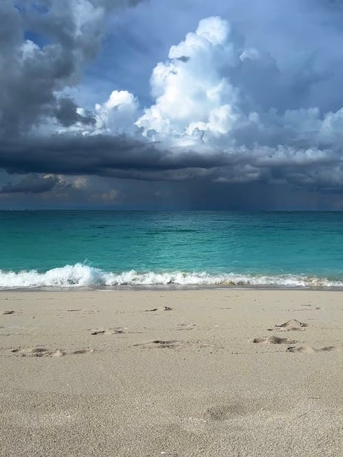 Vertical Primary Print