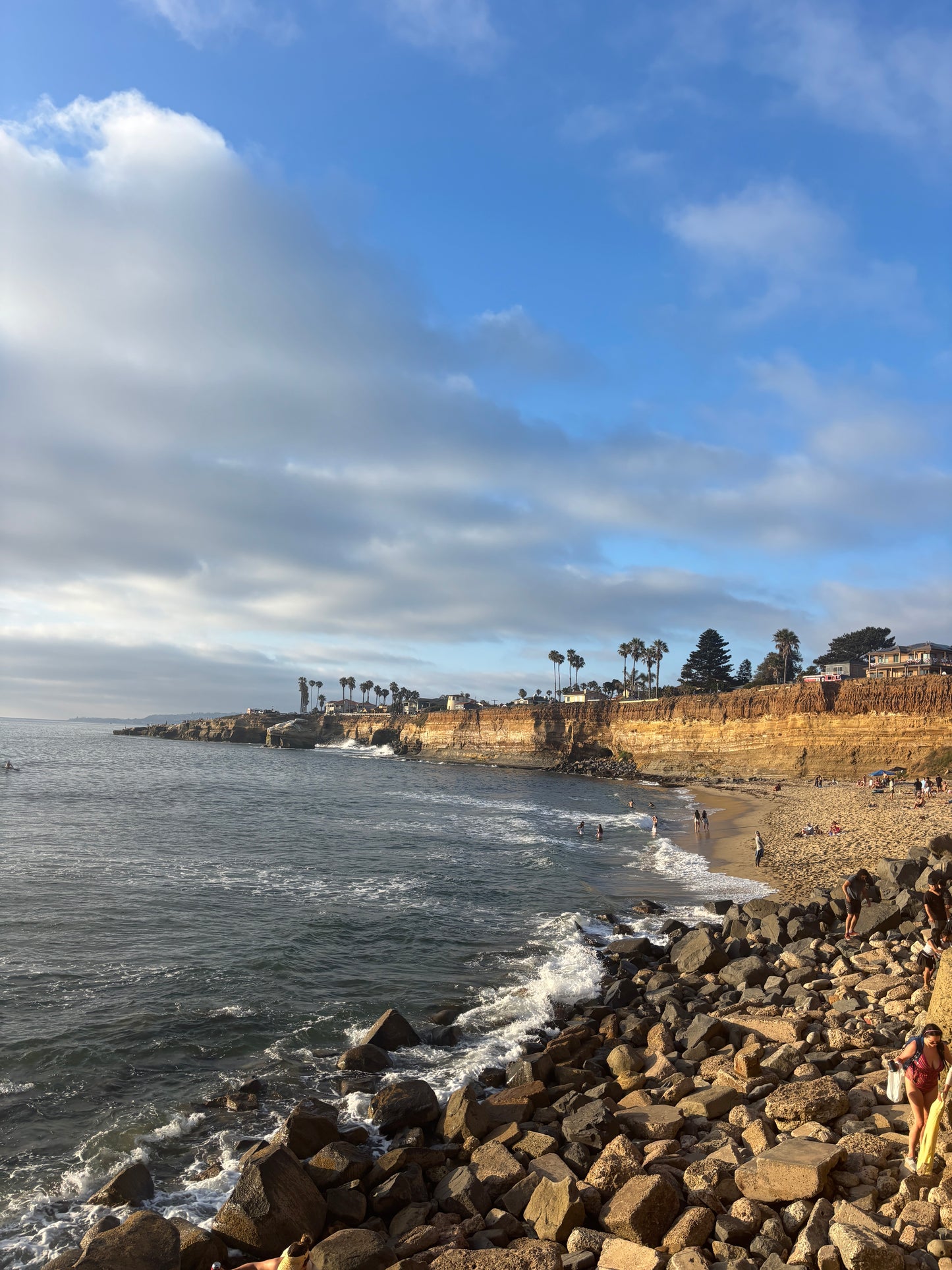 Vertical Only Print 2