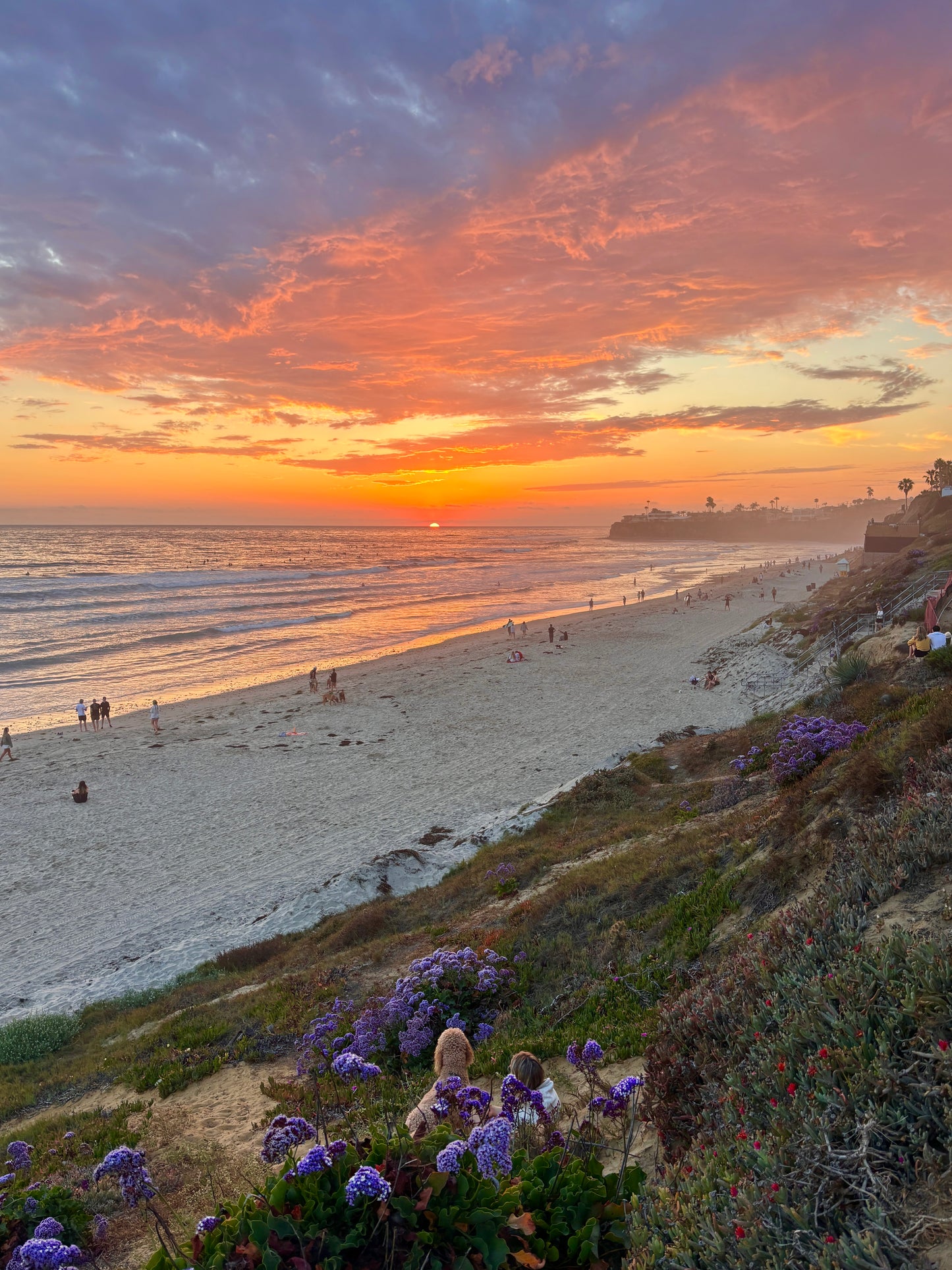 Vertical Only Print 2