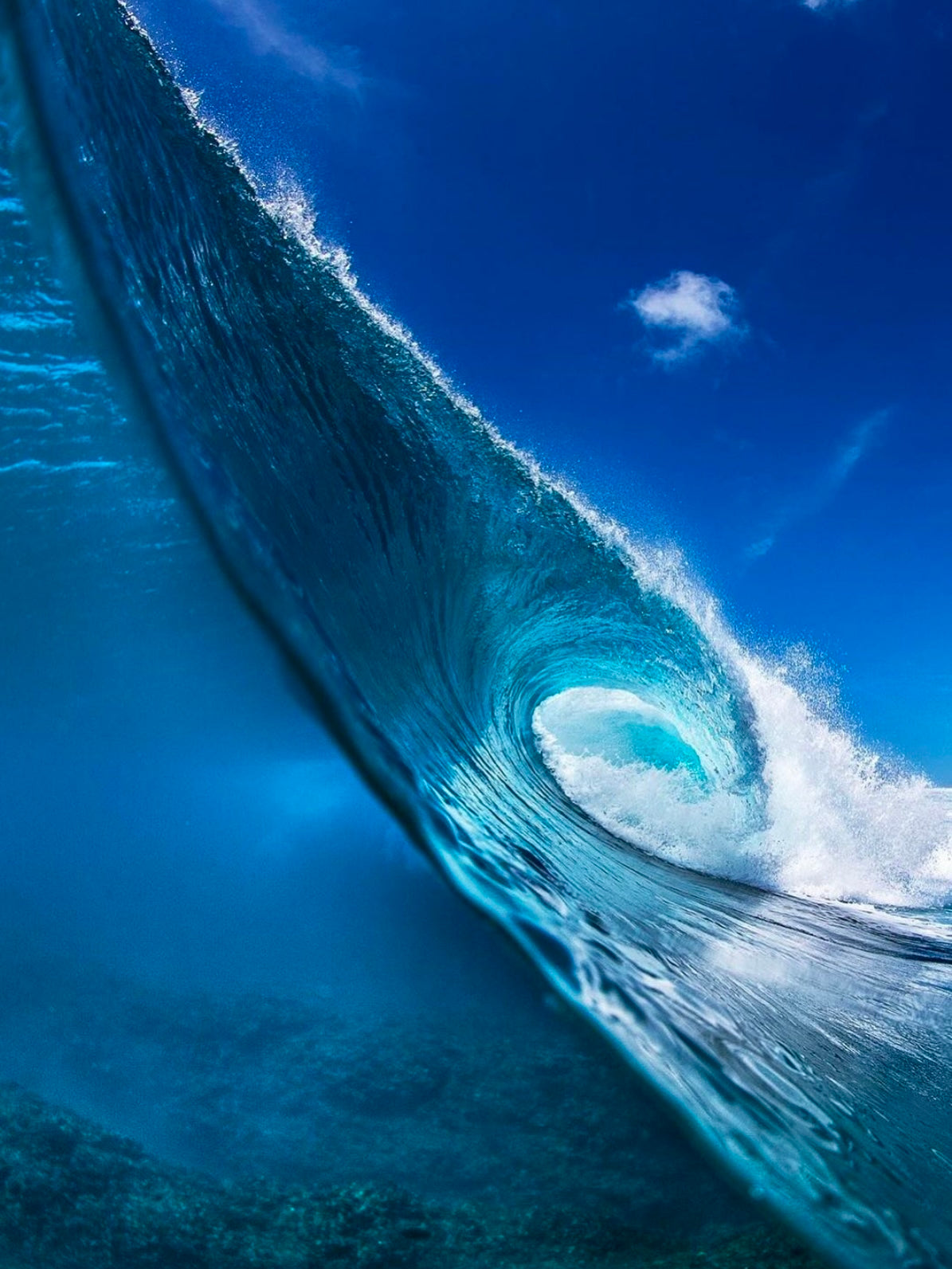 Vertical Only Print 2