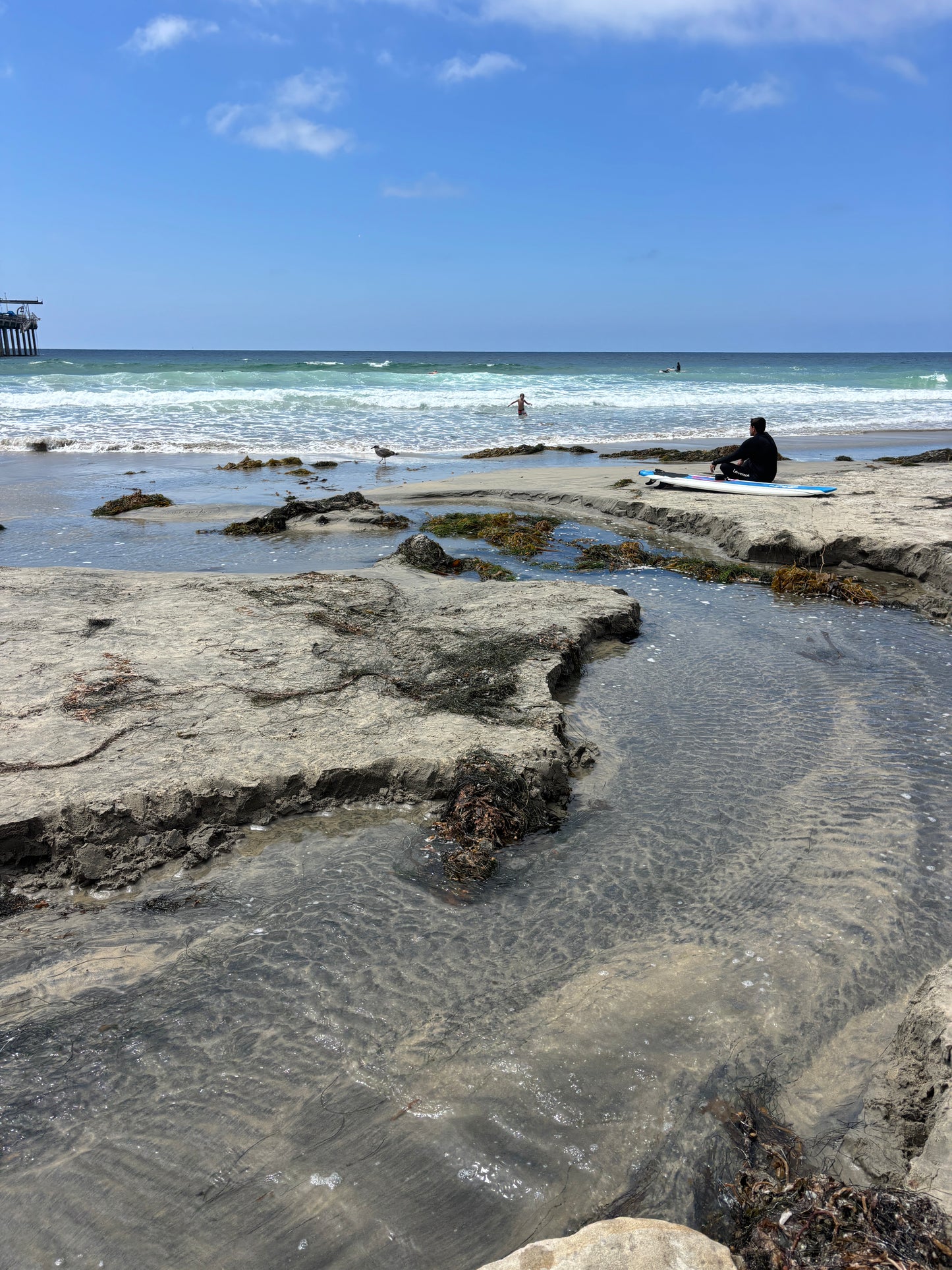 Vertical Primary Print