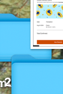 California Sea Lions (Horizontal primary)